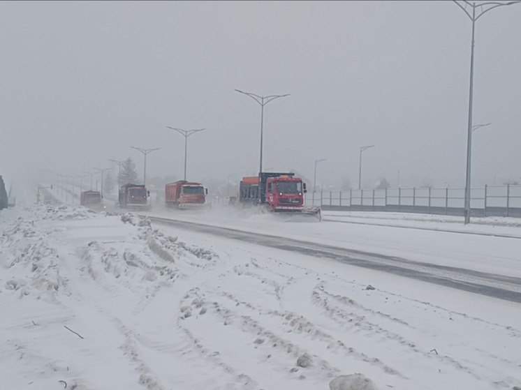 В Самарской области на расчистку дорог от снега вывели 410 единиц техники