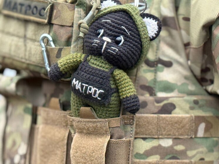 «Орлан» и «БАРС-Белгород» ликвидировали 9 дронов за сутки