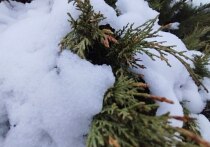 Метеорологический прогноз для Белгородской области