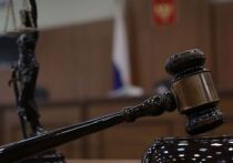 Выяснять в суде, с кем должна жить собака после расторжения брака пришлось паре москвичей