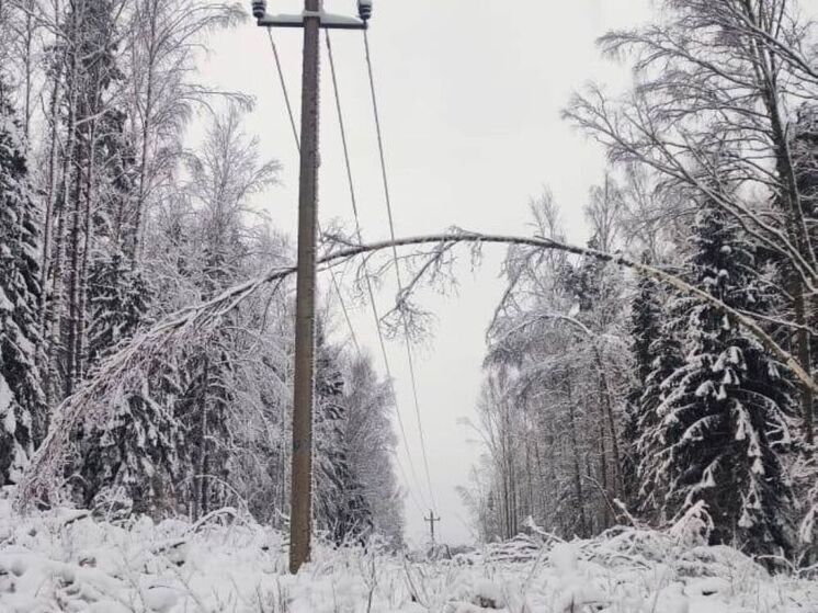 Энергетики «Ярэнерго» оперативно устраняют последствия непогоды