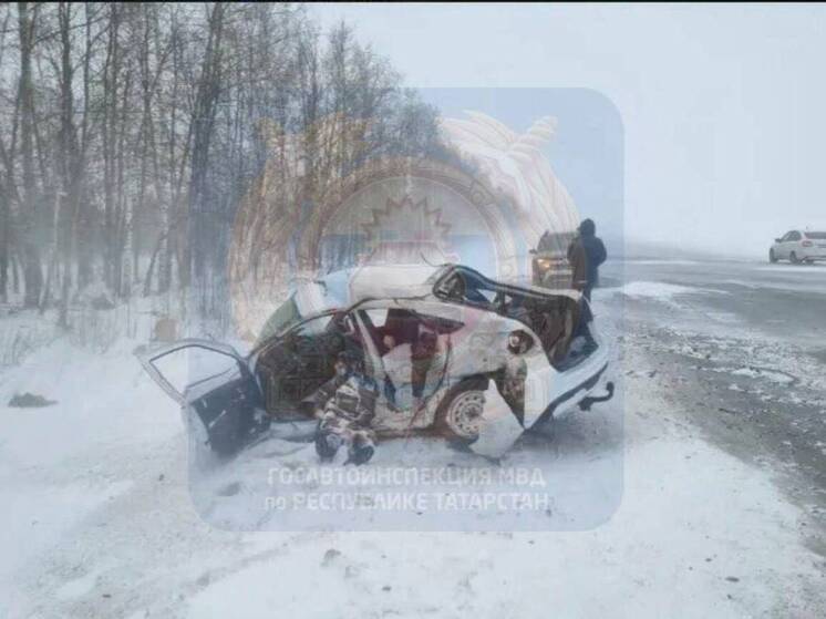 В ДТП на трассе в Татарстане погибли два человека