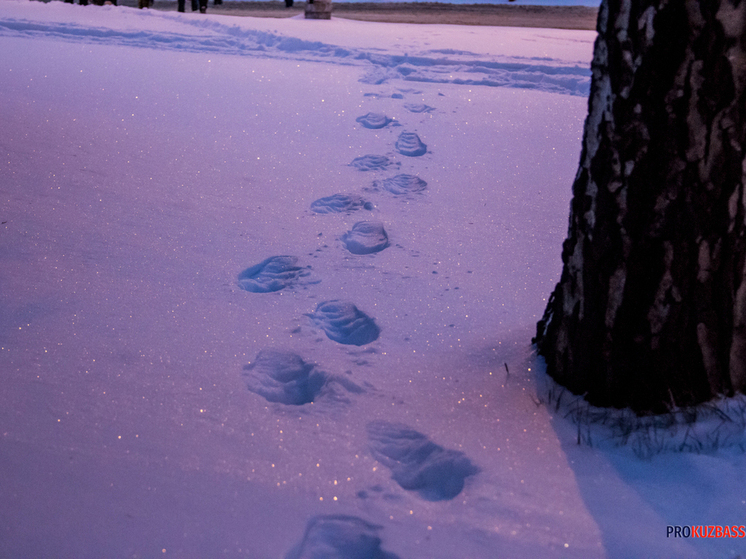 Коммунальные службы Кемерова вывезли более 17 тыс. кубометров снега