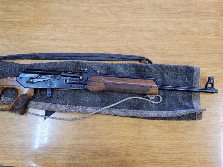 В Кировской области браконьеры получили сроки за убийство лосей и кражу ульев