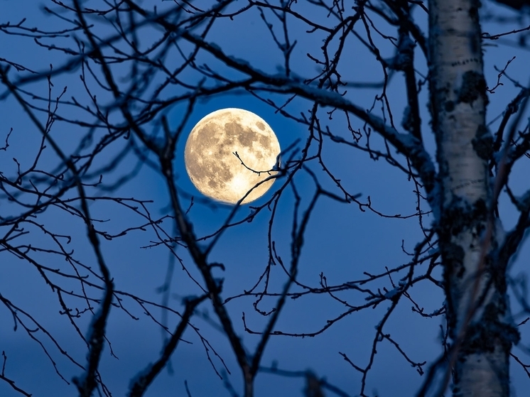 Сегодня Волчья Луна появится в небе