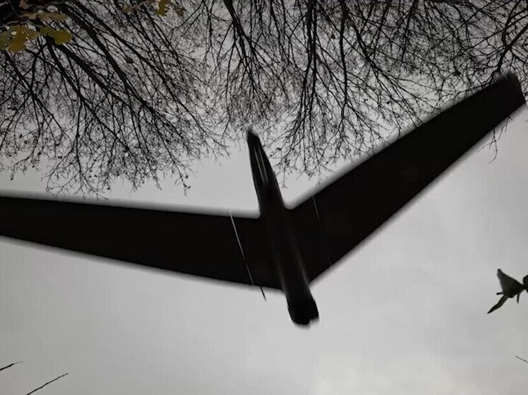 В результате обстрелов Белгородской области пострадали мирные жители