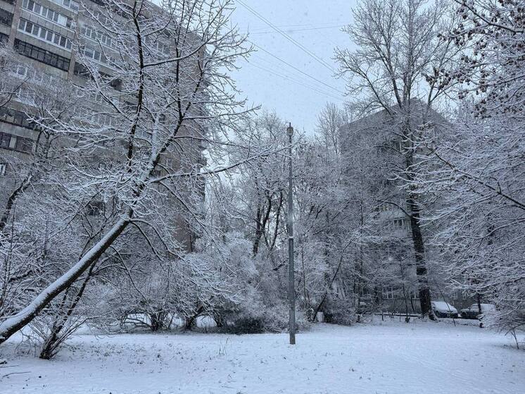 Новгородцам посоветовали одевать малышу термобелье для долгих прогулок