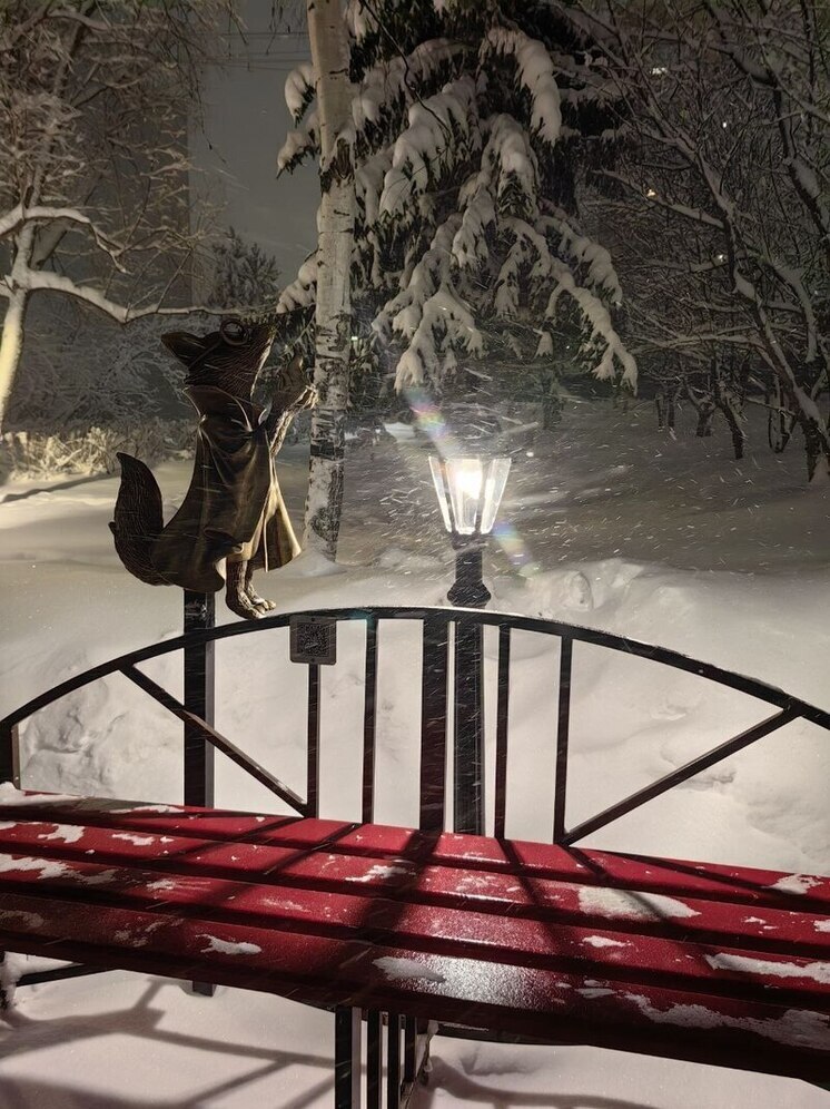 В Сургуте открылся необычный туристический маршрут «Следами Лиса: Городской тур»