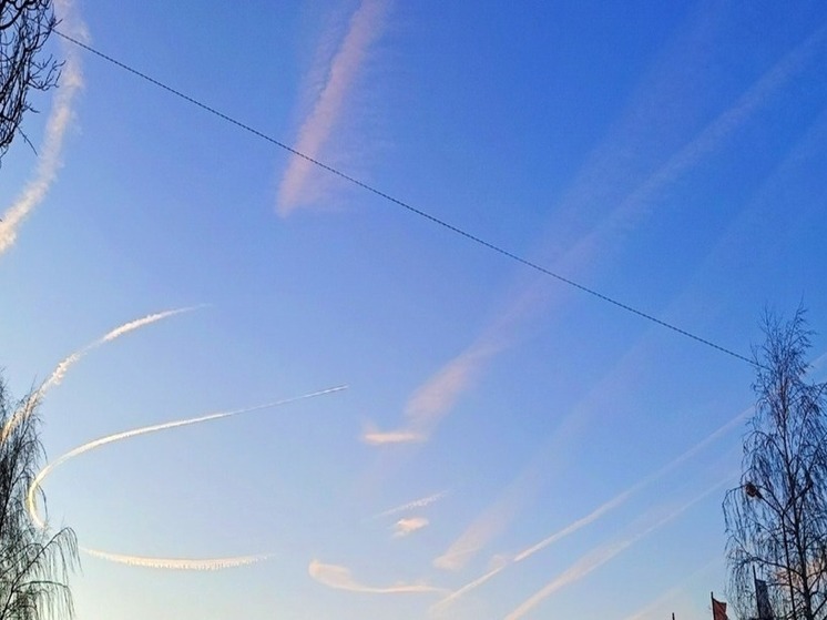 "Купол Донбасса" сорвал 198 попыток террористических актов за неделю