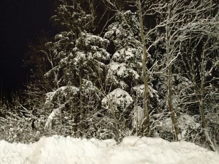 В Ленобласти похолодает до −16 градусов 5 января