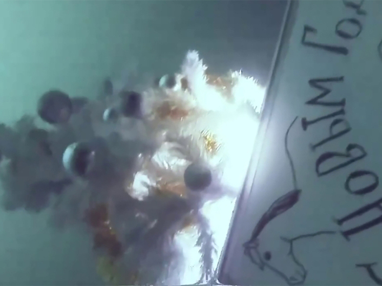 Калужанам рассказали о самой глубоководной ёлке России