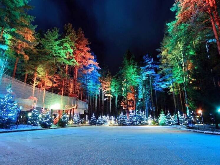 Ленинградцев пригласили покататься на собачьих упряжках и лошадях