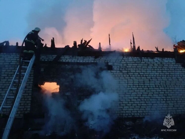 После пожара на владимирской пилораме началась проверка