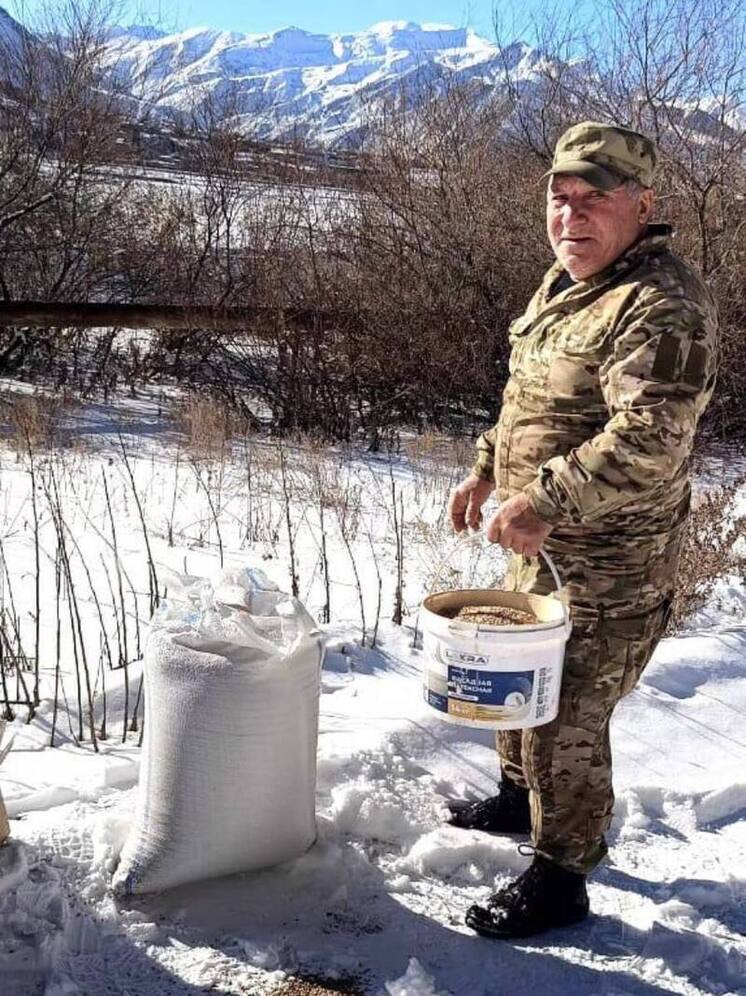 В Дагестане усилили зимнюю поддержку диких животных в заказниках