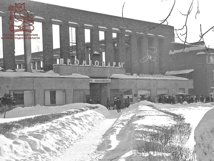 Госархив показал руины калининградского «Эпицентра» в 1980 годы