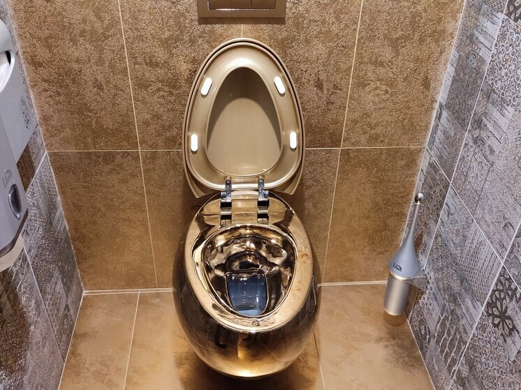 Петербуржцев попросили не смывать в унитаз салаты и еловые ветки