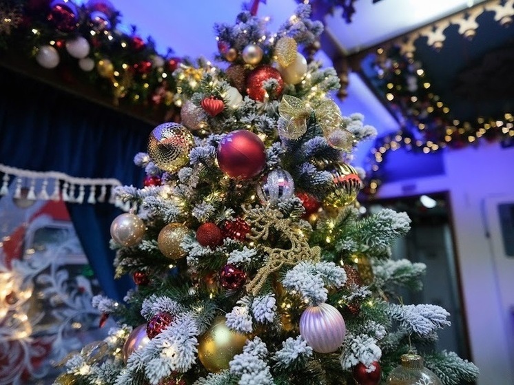 Юным астраханцам подарили новогоднюю сказку в театре