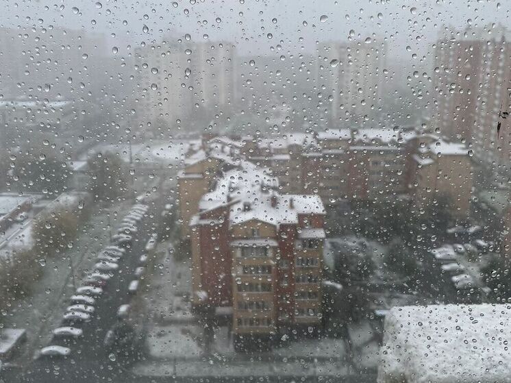 Синоптик Шувалов назвал погоду в Воронеже на Рождество самой неблагоприятной