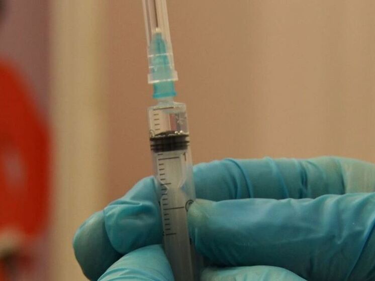 Волчица из Калининградского зоопарка почти согласилась на добровольную вакцинацию