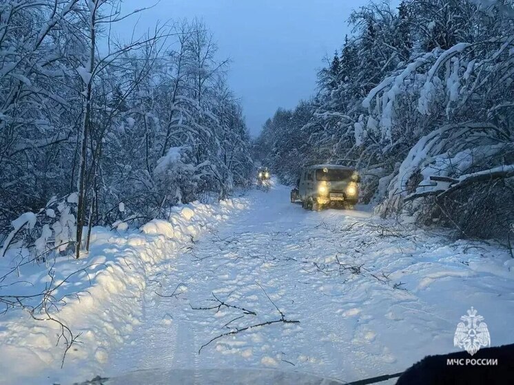 Три тысячи новгородцев остаются без электроэнергии из-за обрыва проводов