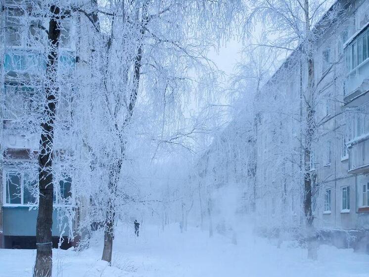 Облачно, местами небольшой снег и низкое давление: зимний понедельник ждет псковичей