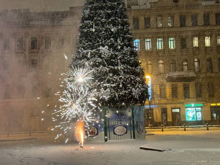 Петербуржцев предупредили об опасных ошибках при использовании фейерверков