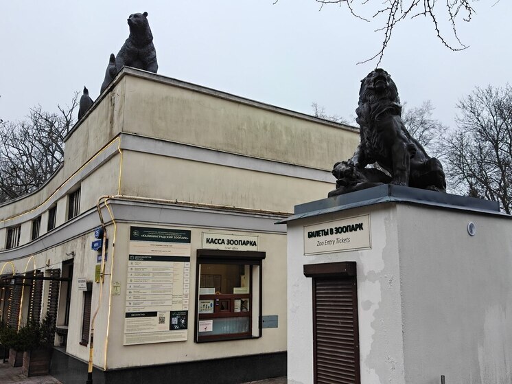 Калининградский зоопарк побил собственный рекорд по посещаемости в 2025