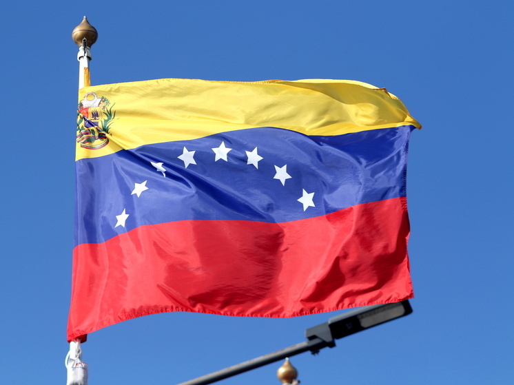 Министр обороны Венесуэлы: парламент заработает в обычном режиме с 5 января