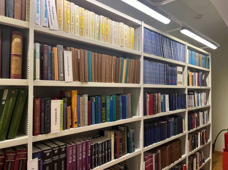 В Мурманске появится модельная библиотека