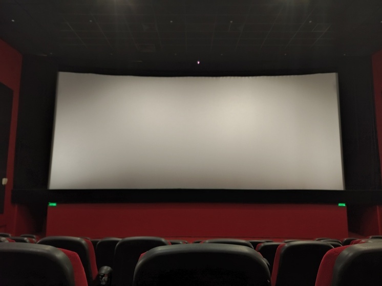 В Мурманской области назвали самый кассовый фильм 2025 года