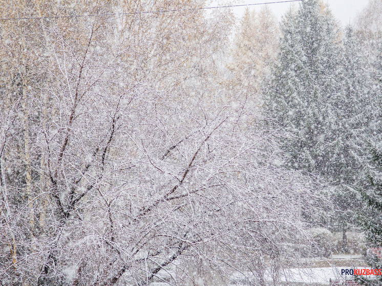 Синоптики рассказали о погоде в Кузбассе на понедельник 5 января