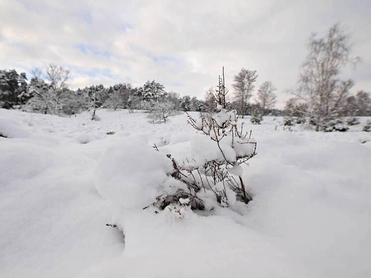 Россиянам объяснили, что 12 января в Анисьин день нельзя солить еду