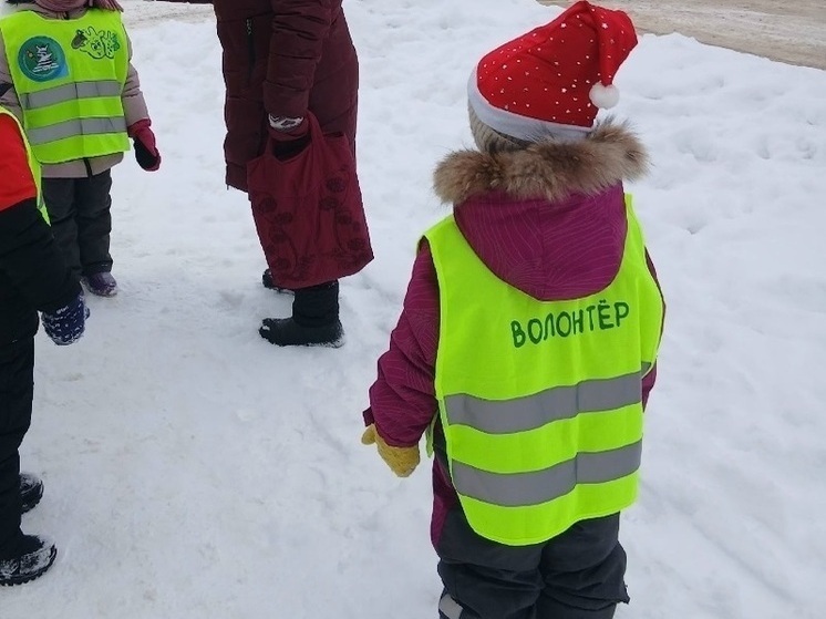 Гномики-пропагандисты появились на дорогах Вологодского округа