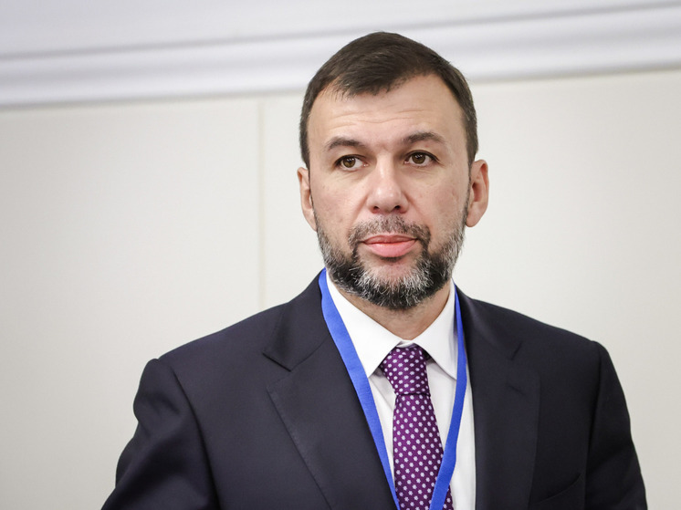 Глава ДНР рассказал о боях в районе Законного, Озерного, Резняковки