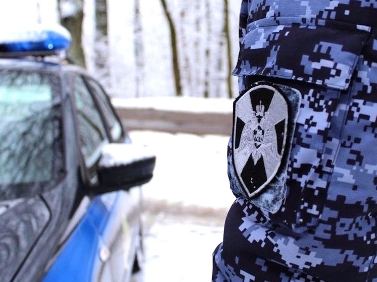 Коряжемец в розыске решил украсть мобильный телефон у своей соседки