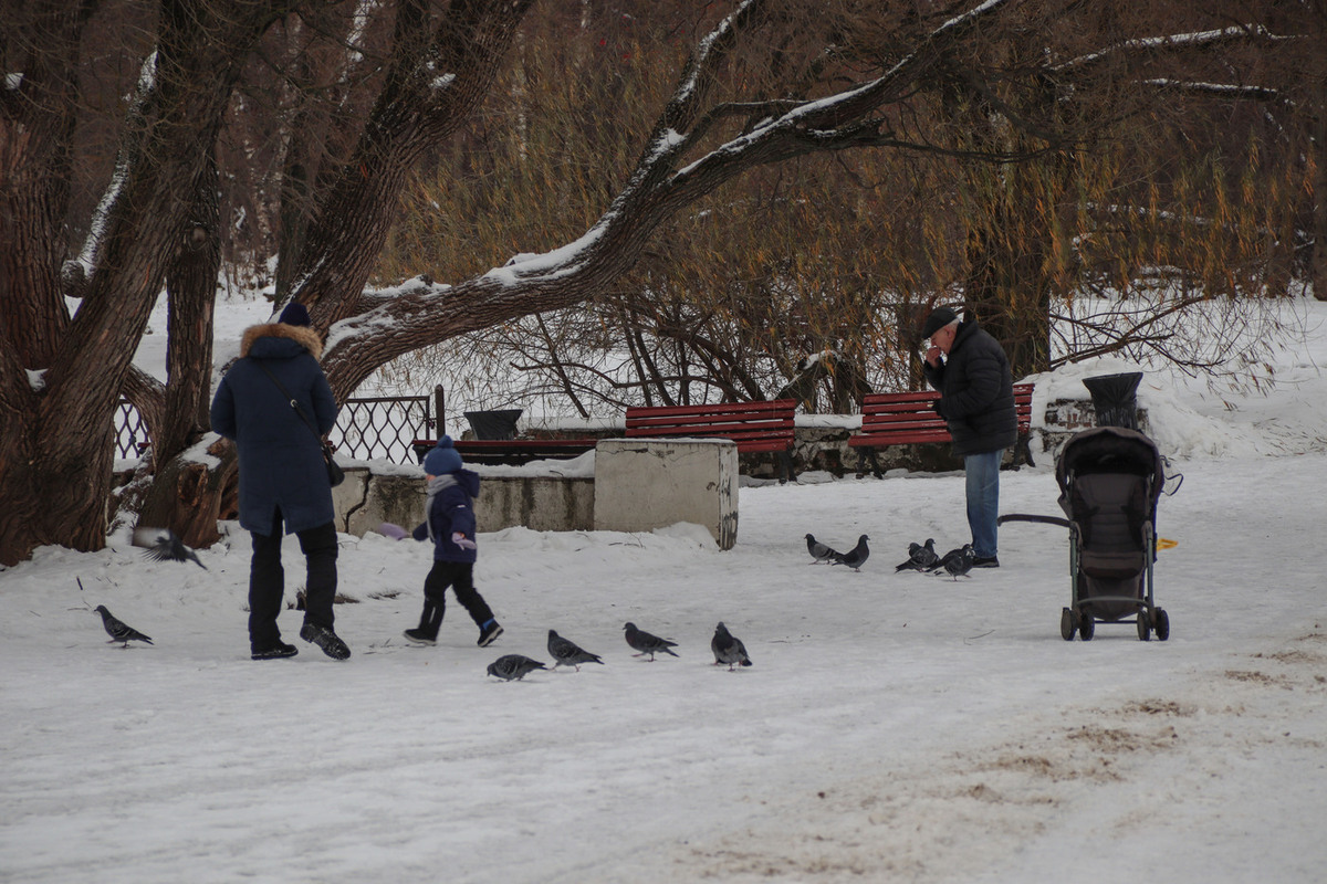 Леус сообщил о последнем теплом дне в Москве перед похолоданием