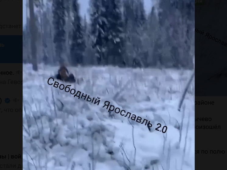 В Ярославском районе мужчина на снегоходе устроил гонку за всадницами на лошадях