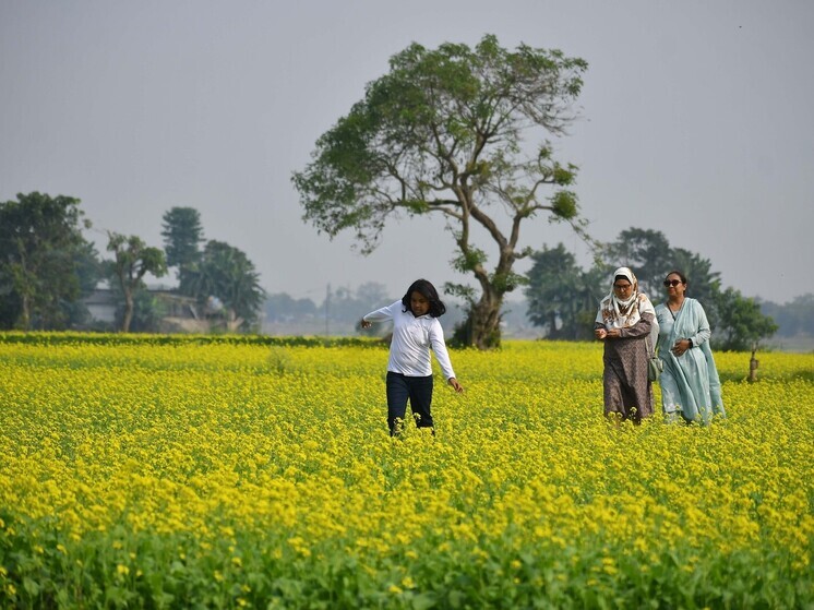 В Индии произошло землетрясение магнитудой 5,4