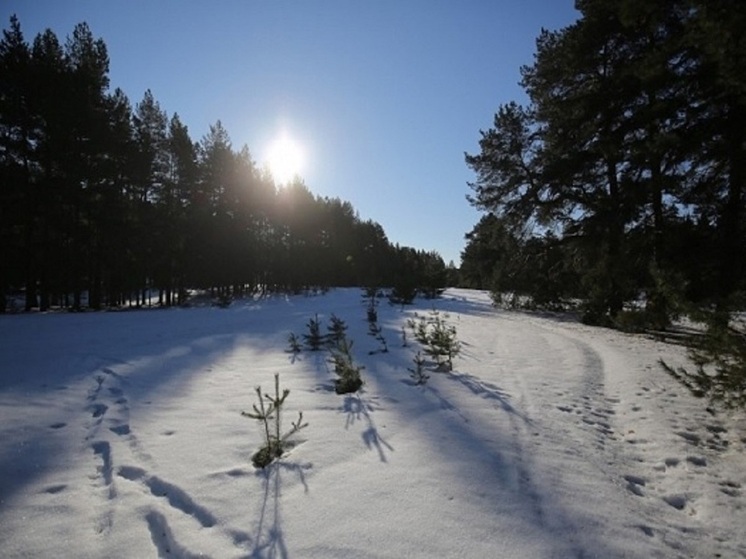 5-балльная магнитная буря грозит волгоградцам 5 января 2026 года