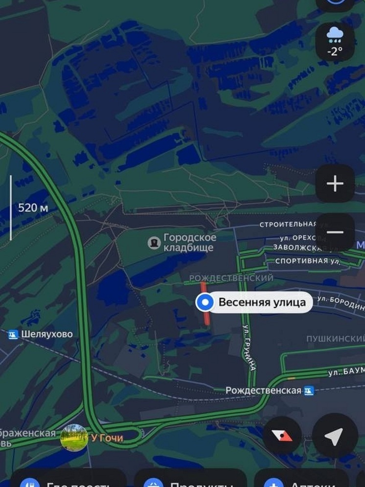 Троих подростков искали в лесах Заволжья