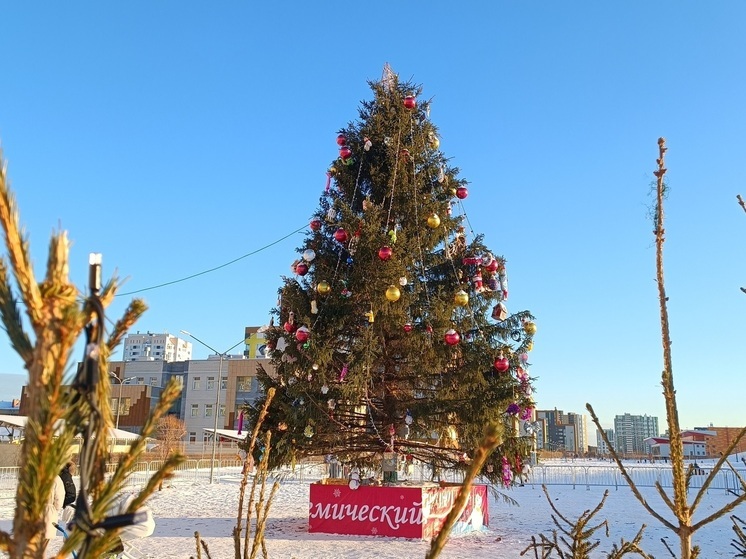 В Академическом подросток на «бублике» сбил пенсионерку