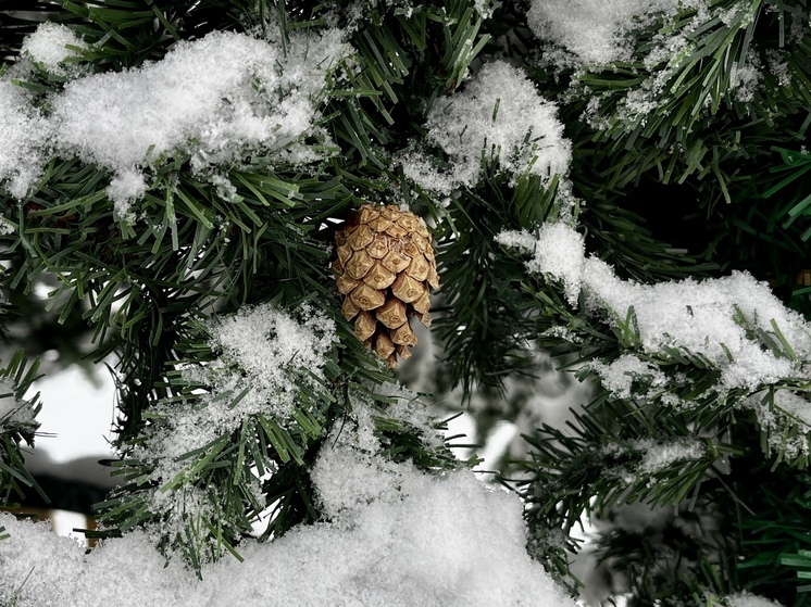  В Саратове сегодня ожидается снегопад и понижение температуры