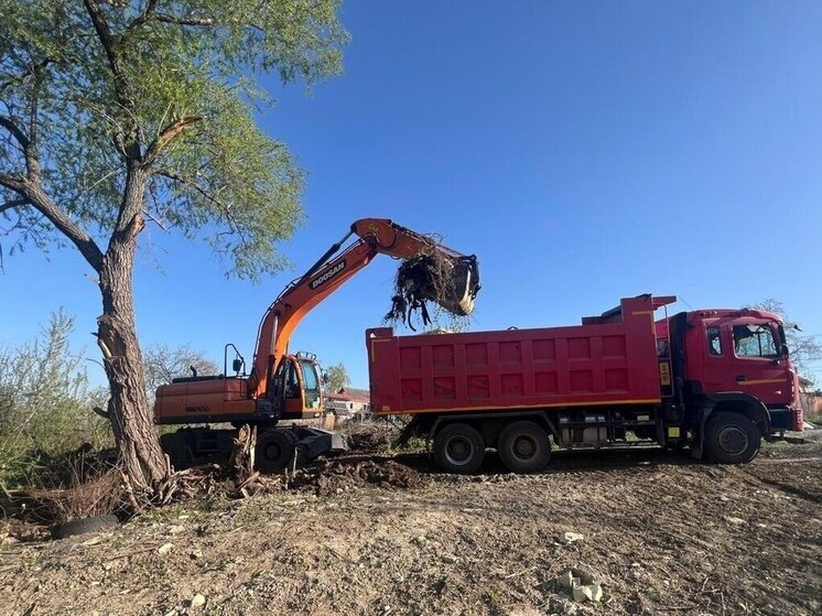 В Курске за прошлый год ликвидировали более 40 несанкционированных свалок