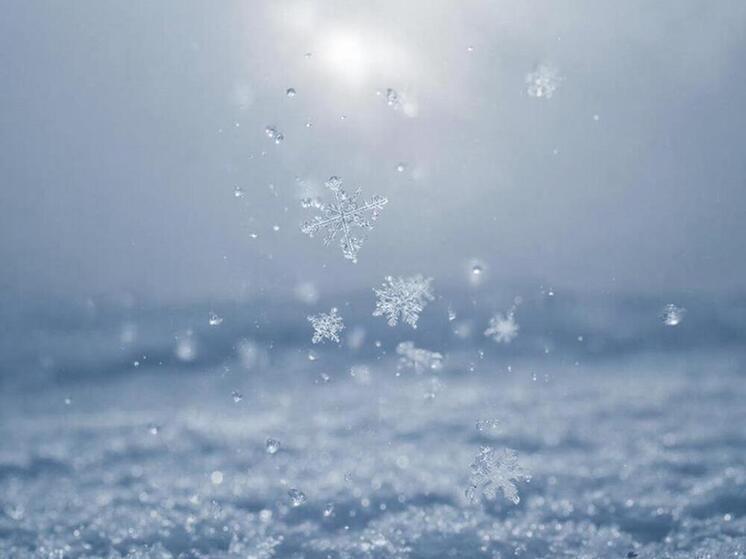 5 января в Курской области прогнозируют снег и мороз до -11 градусов