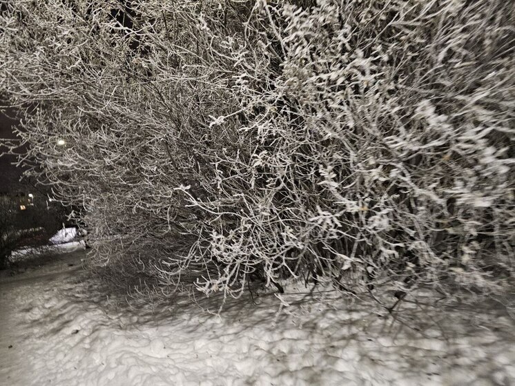 В Петербурге 5 января станет на 9 градусов холоднее нормы