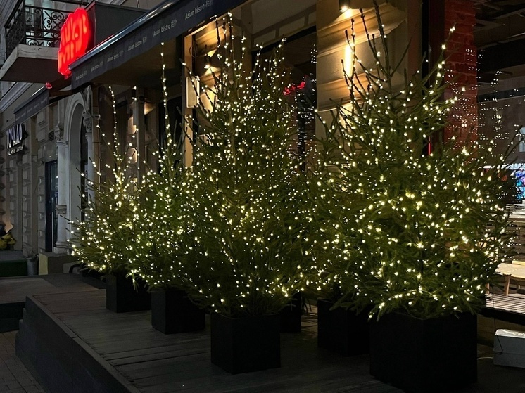 До +10 градусов потеплеет на Рождественской неделе в Ростове-на-Дону