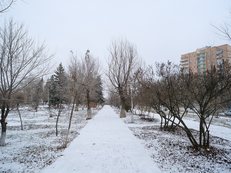 Дождь, мощный ветер и резкое потепление до +7 градусов ожидают волгоградцев