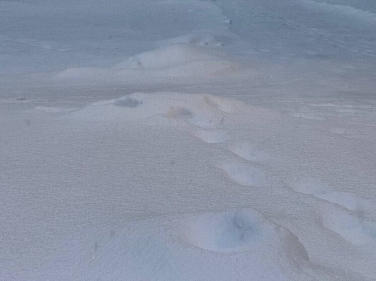 В Петербурге за неделю выпало более 30 см снега