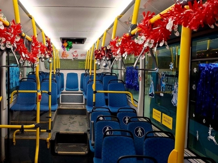 Новогодние праздничные троллейбусы курсируют по Петрозаводску