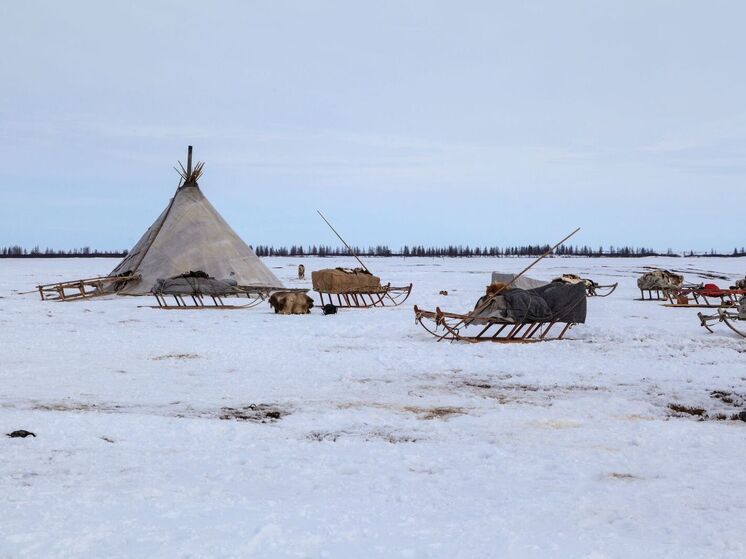 В ЯНАО стало больше мест для доставки дров тундровикам